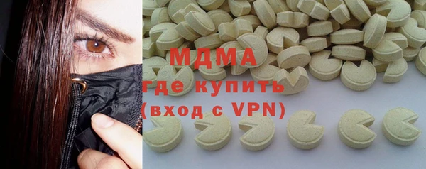 индика Инта