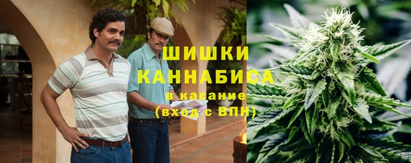 Альфа ПВП Заречный