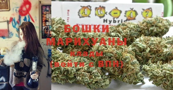 спиды Няндома